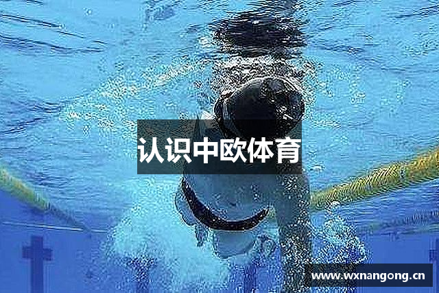 认识中欧体育